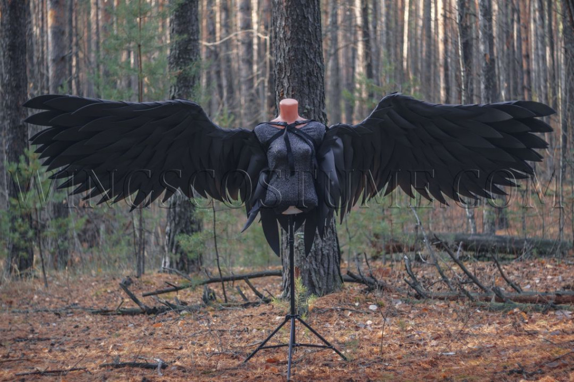 Large store Black Wings